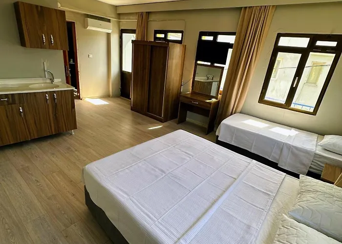 Ξενοδοχείο Viyana 2*