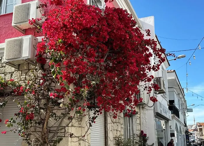 Viyana Ξενοδοχείο Çeşme